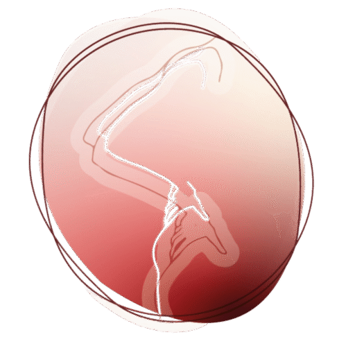 Logo etiopathe Laurélie Touraille Rhône